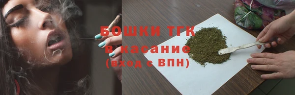 шишки Нея