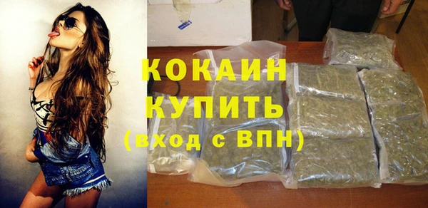 бошки Новозыбков
