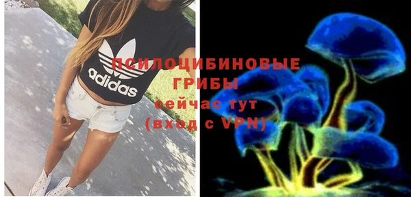 бошки Новозыбков