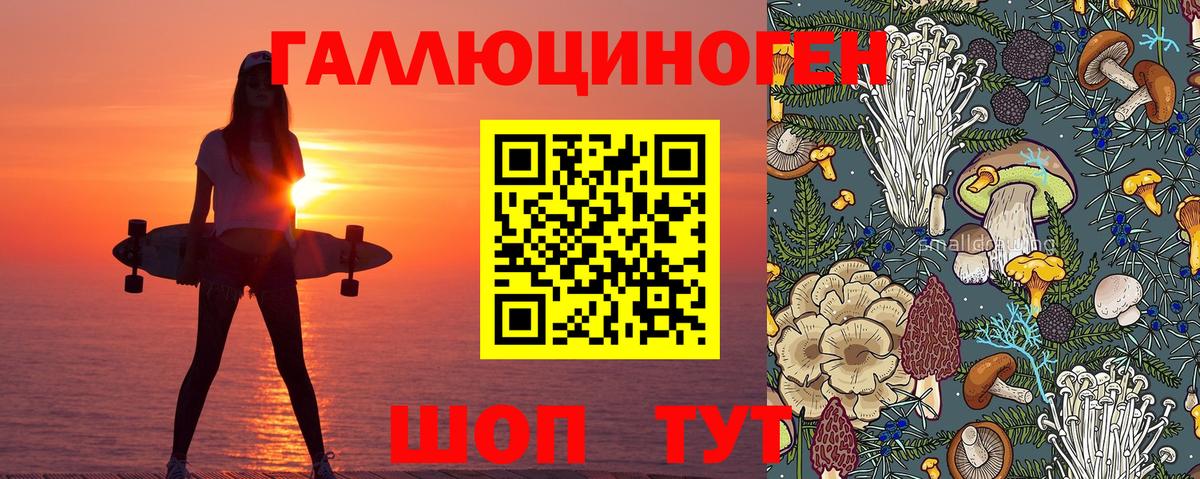Галлюциногенные грибы мухоморы Советская Гавань