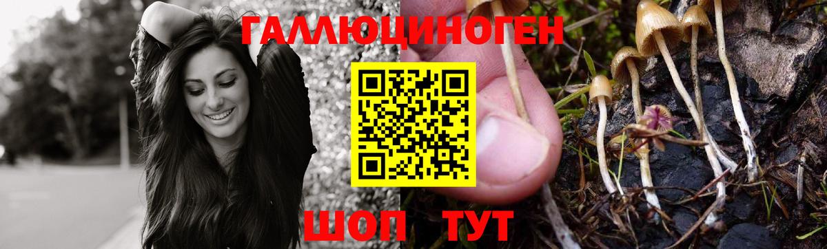 Советская Гавань  Галлюциногенные грибы ЛСД  Вход с VPN 